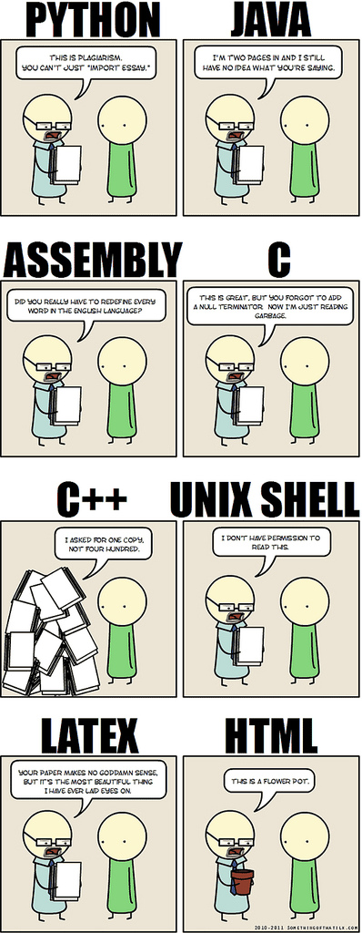 programming language cartoon